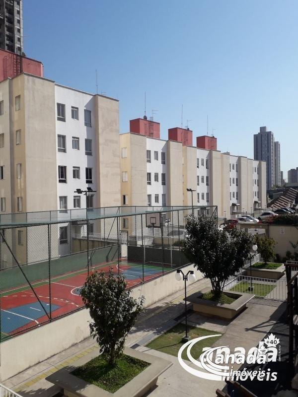 São Pedro