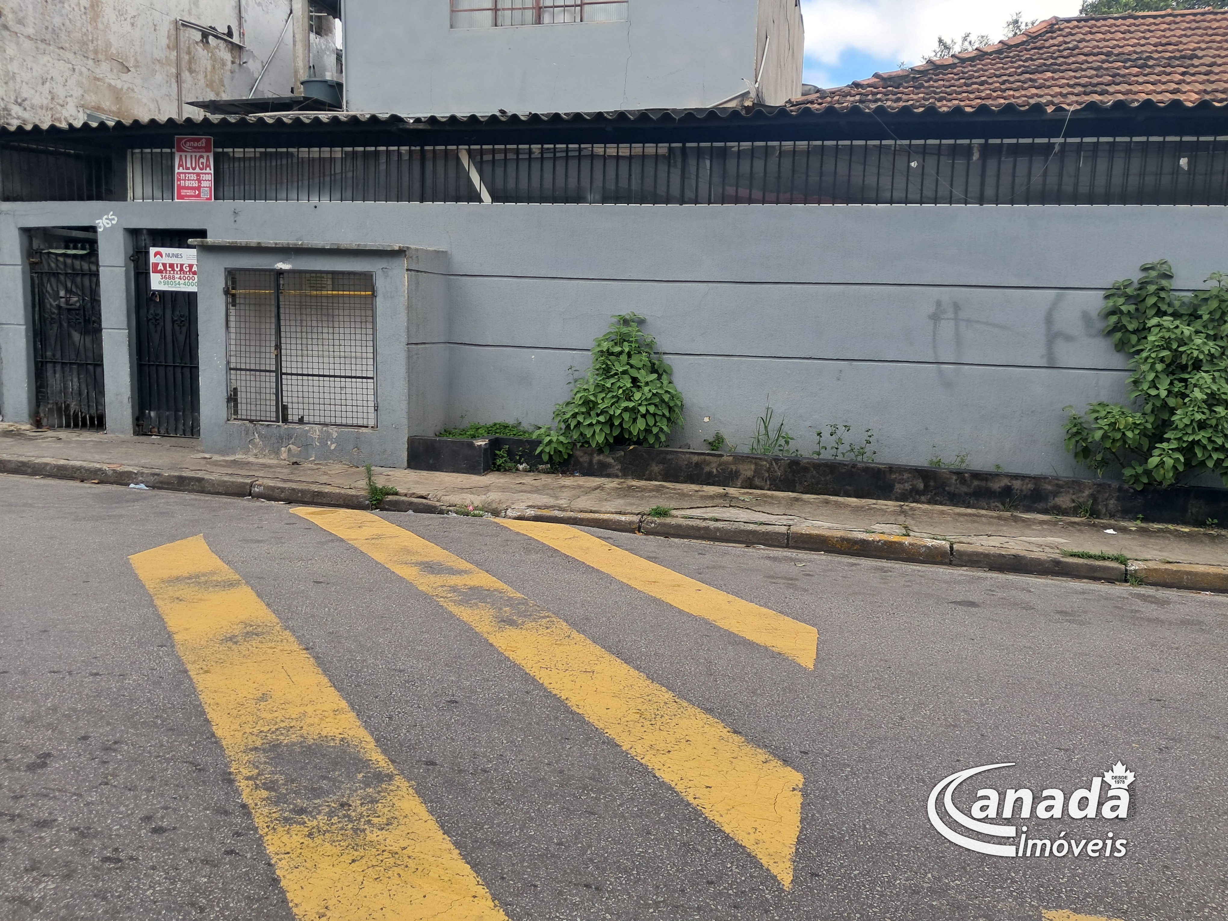 Imóvel Comercial com 3 salas em Osasco